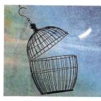 moving to freedom